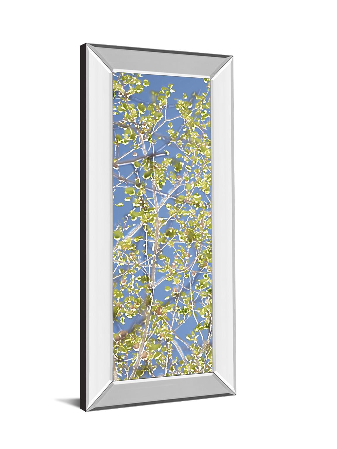 18 in. x 42 in. "Spring Poplars I" By Sharon Chandler Mirror Framed Print Wall Art