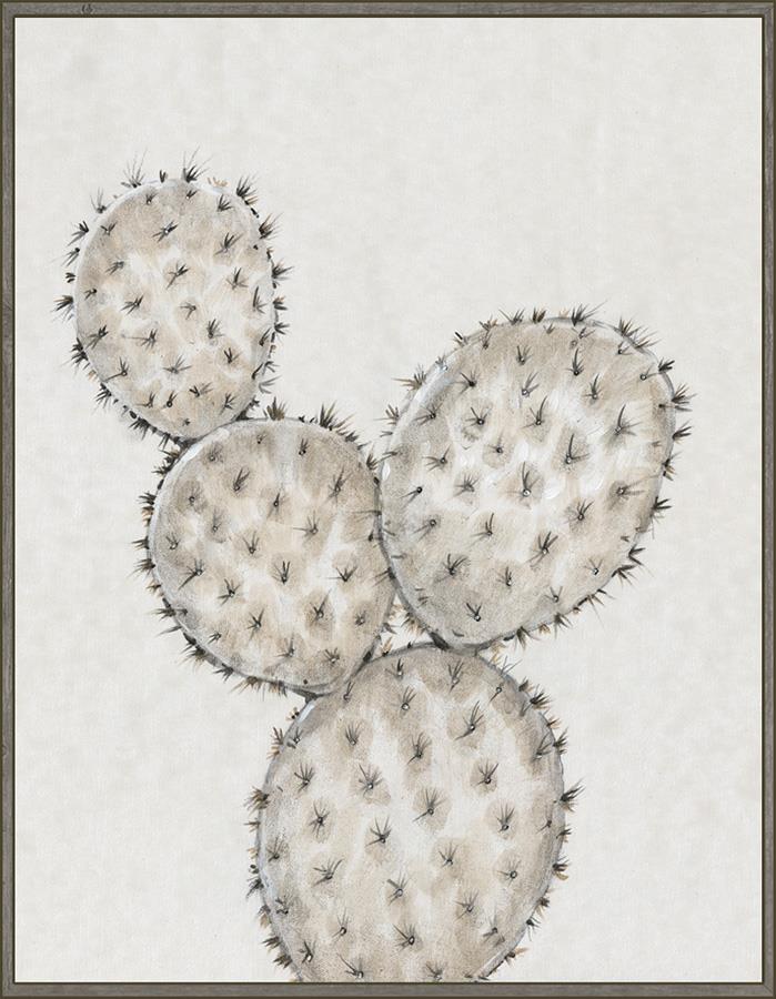 Cactus Study IV Framed Frame #EC1921
