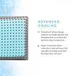 CarbonCoolLT_infographic2-WB1565034887_original