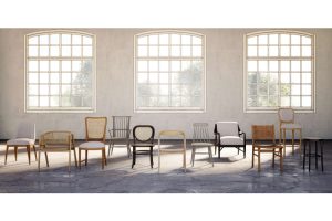 Logan Dining Chair w/ Rattan - Teak