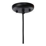 or add a dramatic flair with a group of 2 or more. Made of iron and aluminum. Use style of Edison bulb to complete the look.