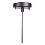 large pendant light. With 15 round