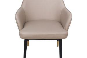 BERLIN ACCENT CHAIR