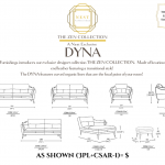 Dyna Schematic