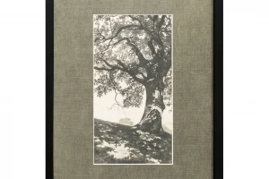 JQ-1058-37_Arise_hero - Nest Furnishings